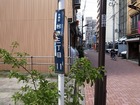 RIMG21205 ¥µ¥¤¥ºÊѹ¹