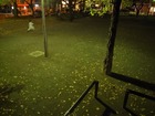 RIMG22457 ¥µ¥¤¥ºÊѹ¹
