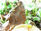 092202kitateha