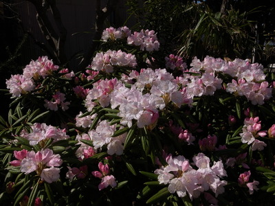 RIMG11744