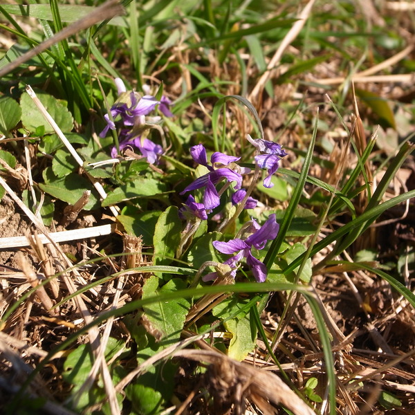 R0082418
