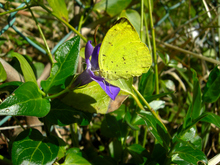 DSCN13470635