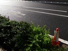 RIMG16319 ¥µ¥¤¥ºÊѹ¹