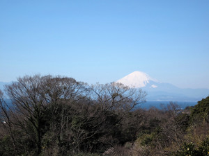 IMG_0173