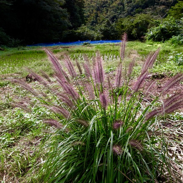 R0076693
