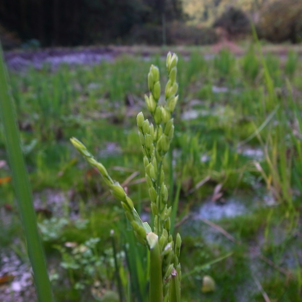 R0070751