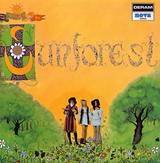 021901sunforest