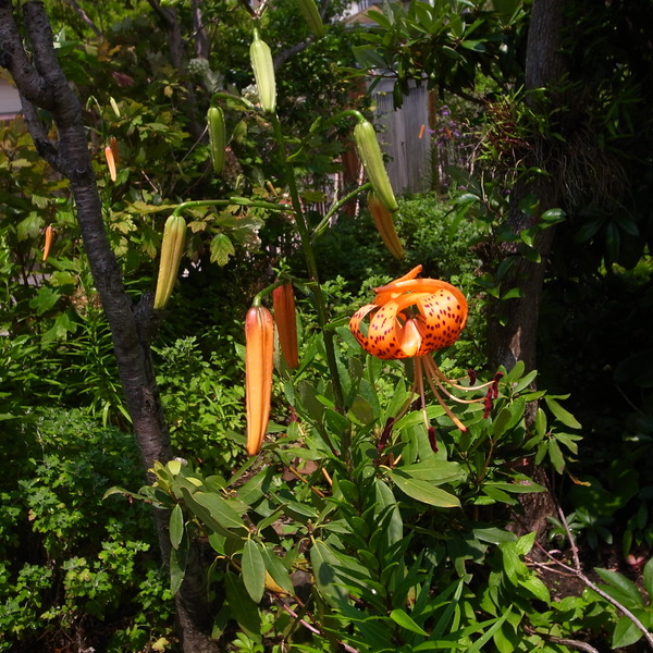 R0085624
