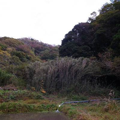 R0018477
