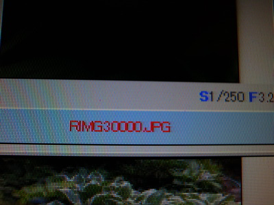 RIMG30053