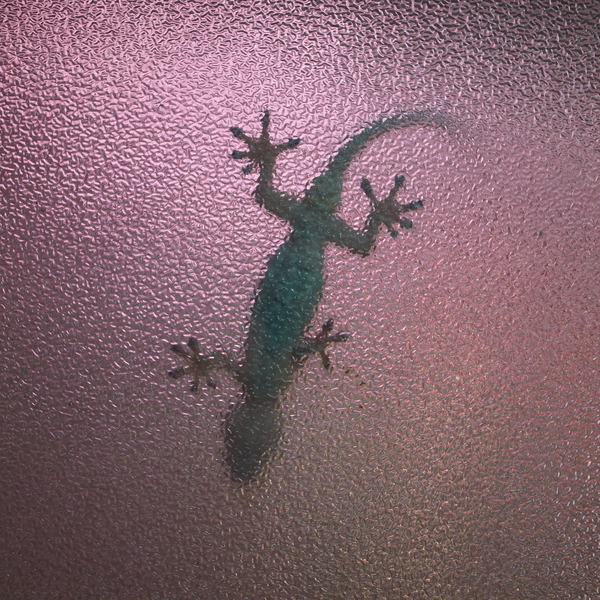 R0085700