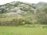 042001kamiyamaguchi