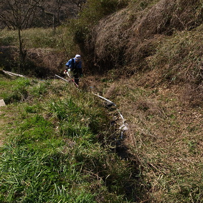 RIMG25554