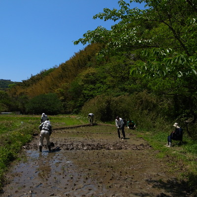 RIMG27717