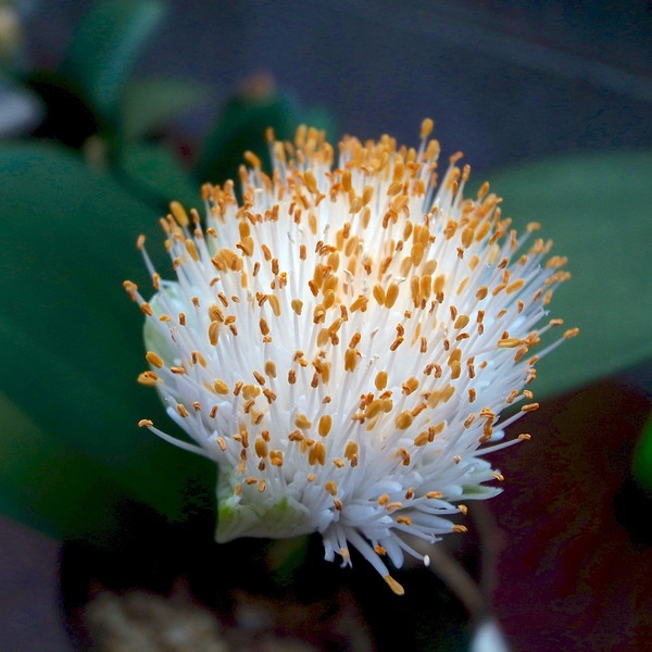 R0087659