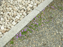 DSCN13870675