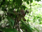 IMG_1948