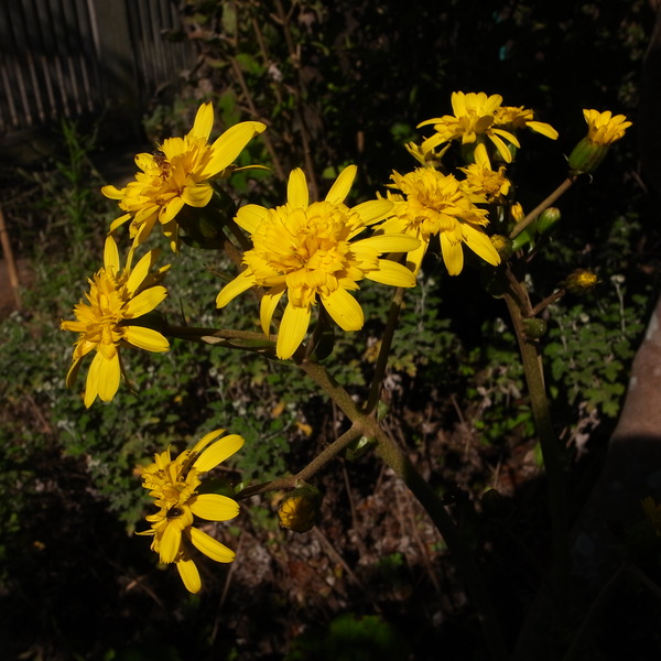 R0087770