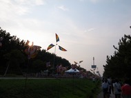 RES06950