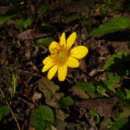 R0040540