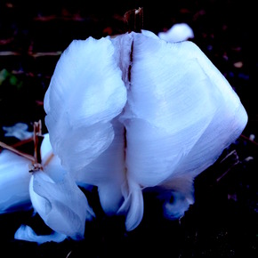 R0082801