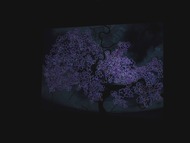 RES06734