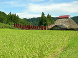 090703haze