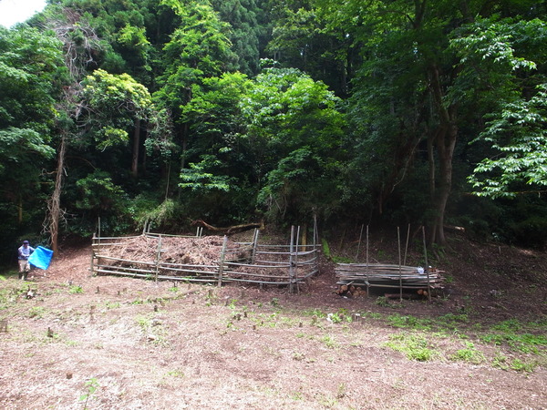R0090745