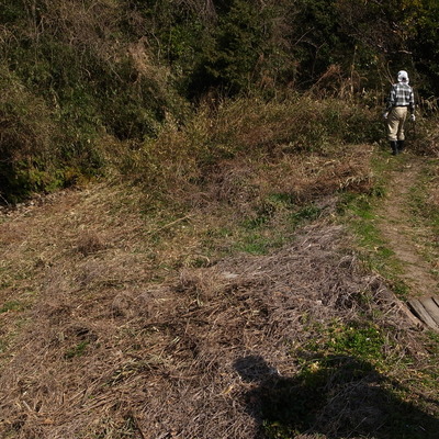 RIMG25548
