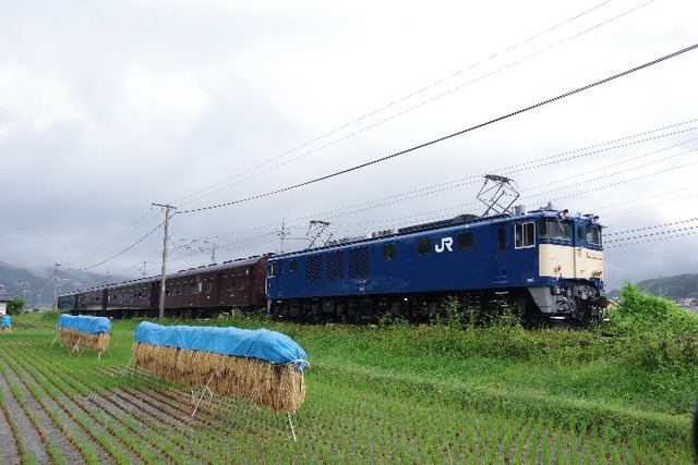 IMGP0823