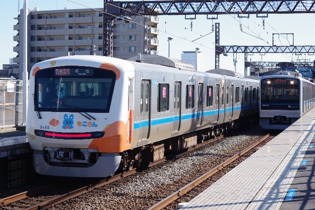 IMGP6991