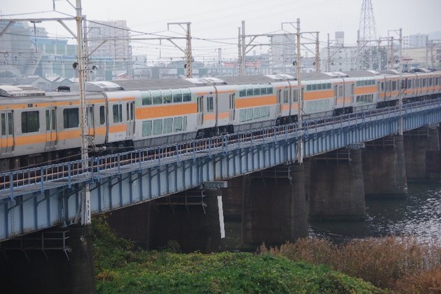 IMGP5061