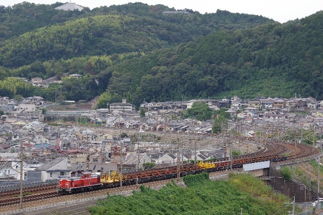 IMGP1434