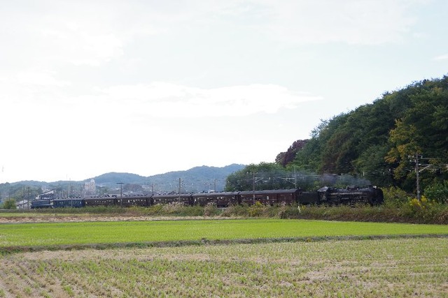 IMGP3568