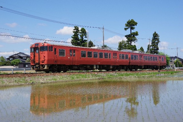 IMGP8470