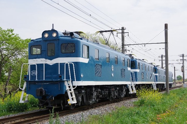 IMGP7330