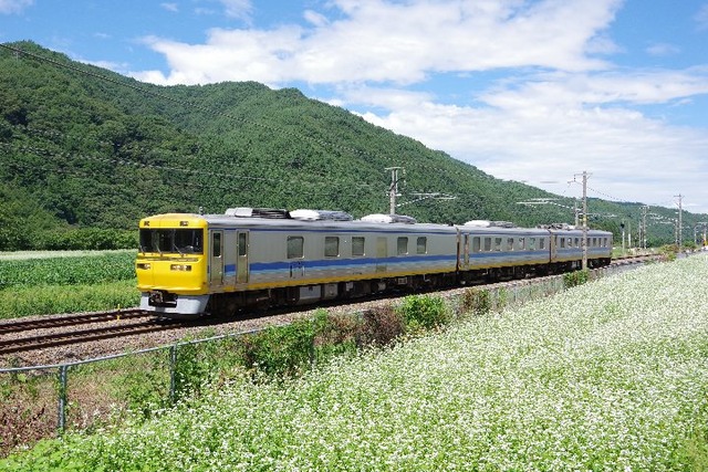 IMGP9596