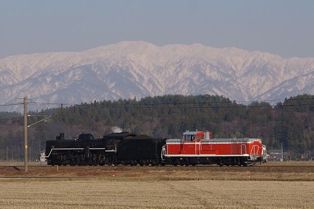 IMGP9556c