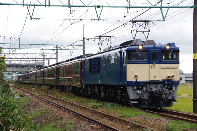 IMGP1387