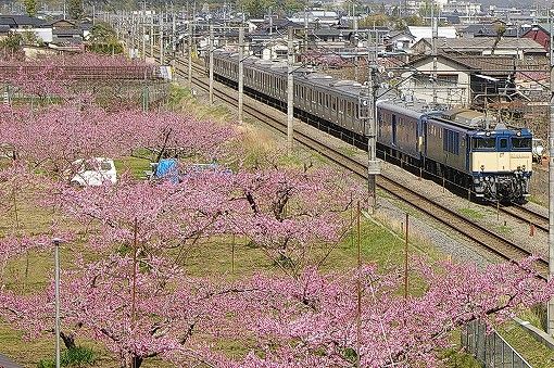 イメージ 2