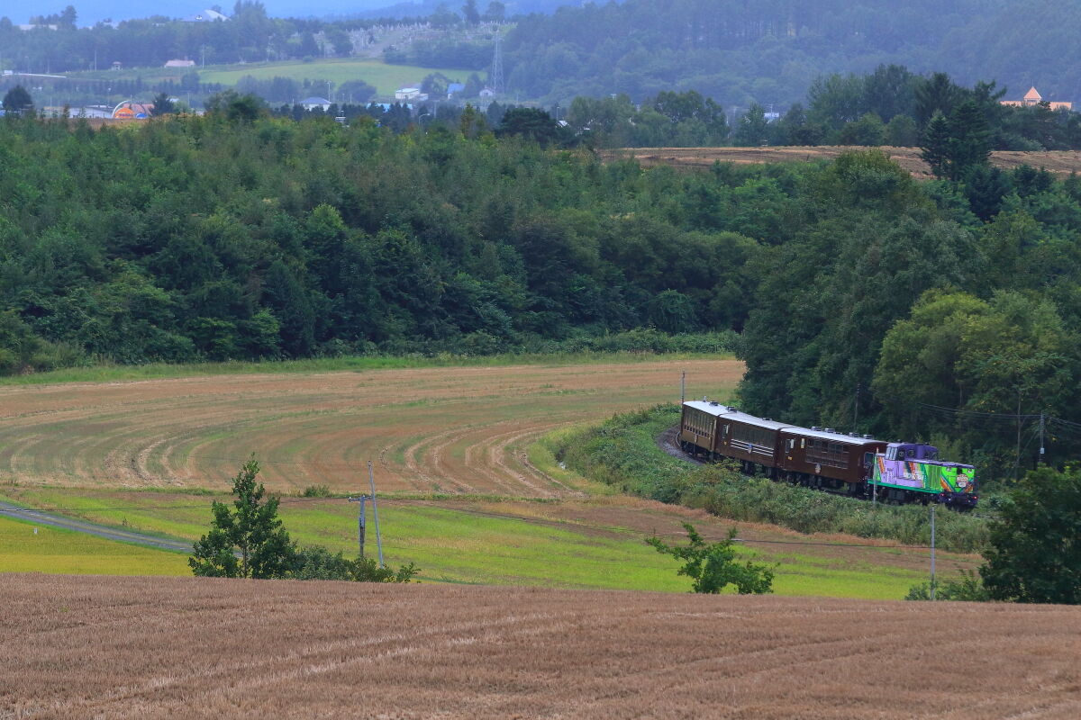 鉄路の彼方へ 富良野線の新しい撮影地 富良野 美瑛ノロッコ号 鉄旅フォト紀行 鉄路の彼方へ