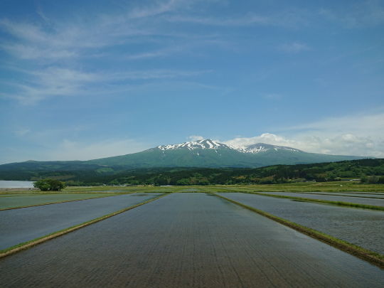 イメージ 8