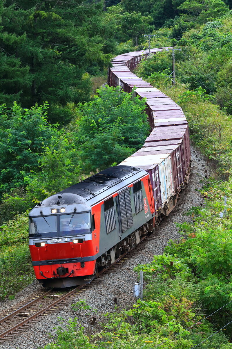 鉄路の彼方へ 宇宙軒ｓ字俯瞰で 赤スカ貨物３０５９レ 鉄旅フォト紀行 鉄路の彼方へ
