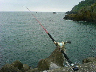 今年３回目 鴨川港での石鯛釣り 鉄旅フォト紀行 鉄路の彼方へ