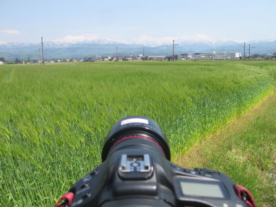 イメージ 3