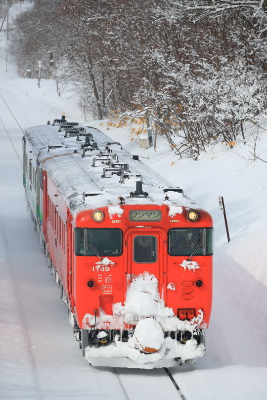 鉄路の彼方へ~根室本線 野花南の跨線橋から その1~ : 鉄旅フォト紀行~鉄路の彼方へ~