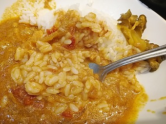 よもだそば 立ち食いそば 立ち食い蕎麦 銀座 日本橋 よもだカレー