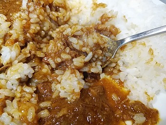 新橋ランチ 新橋カレー 秀苑天 しゅうえんてん ランチ カレー