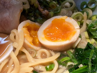 煮玉子 あさが家 上野 横浜家系ラーメン