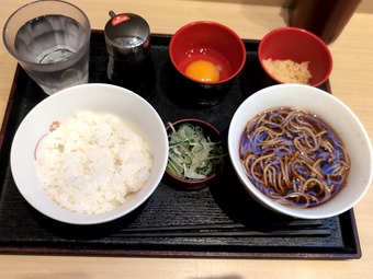 ī�꿩 JR���ھ�ز����� ������ä��餯ī�꿩 Ω����������